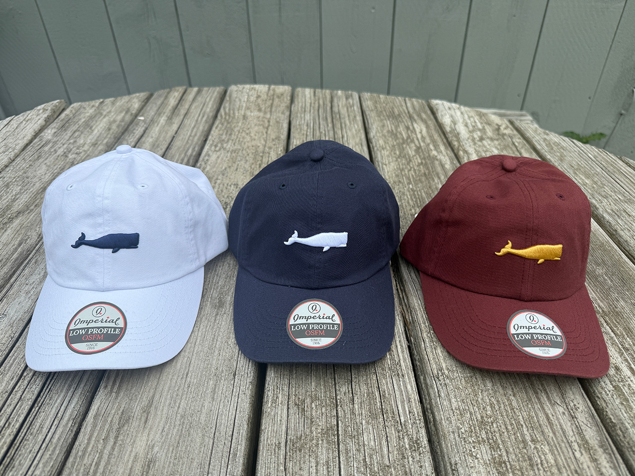 3-D Embroidered Whale Hat