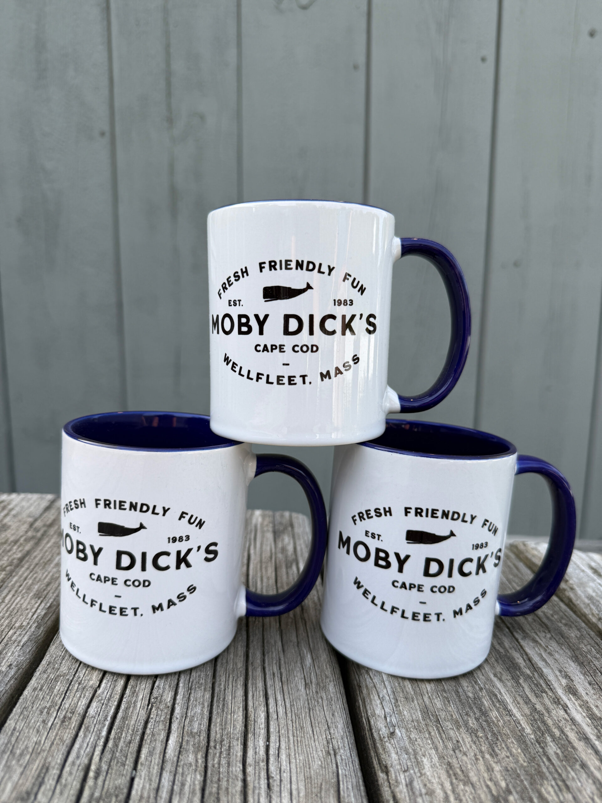Fresh, Friendly Fun Mug