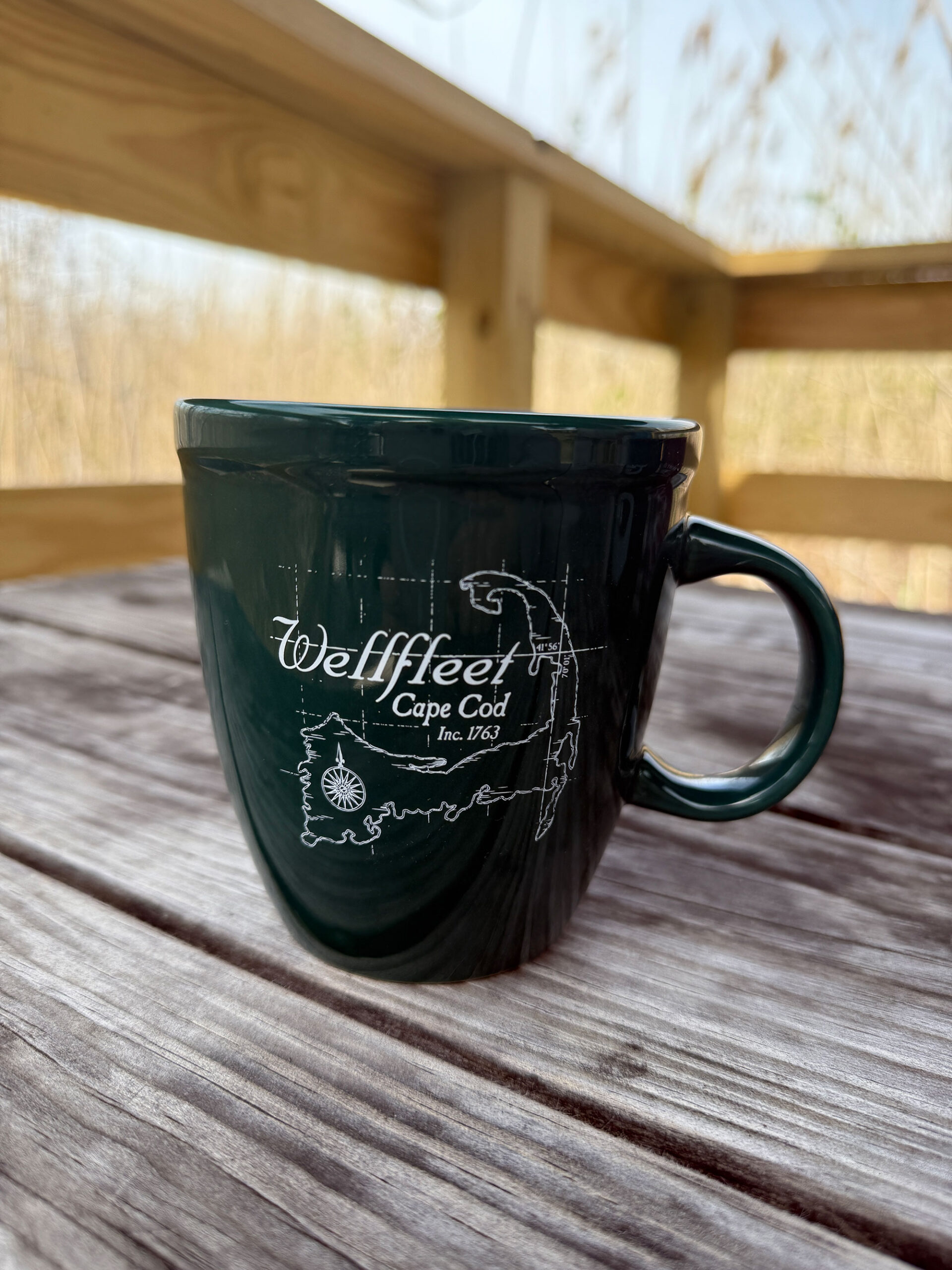 Moby's Green Map Mug