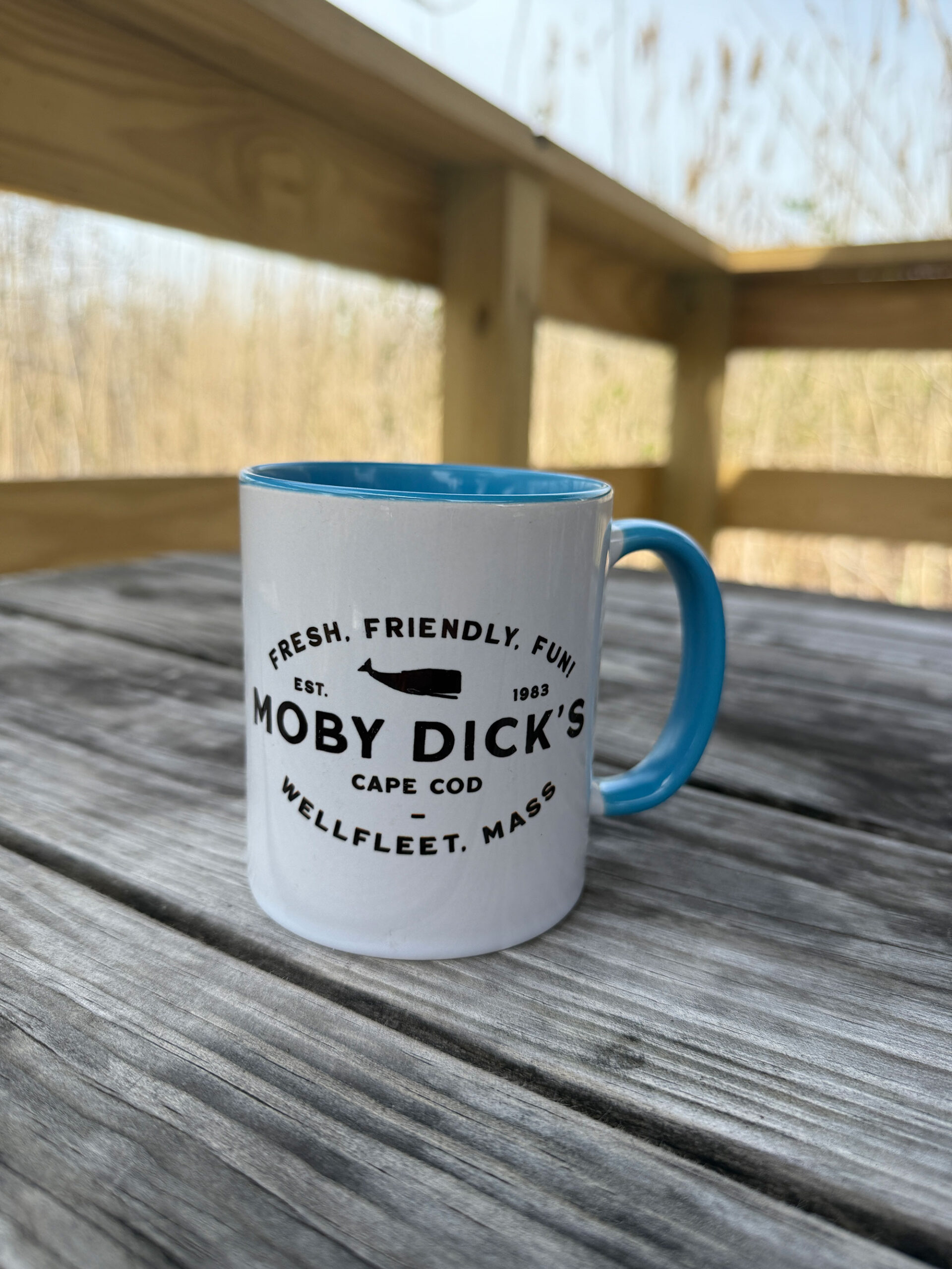 Moby Dick's White and Blue Mug